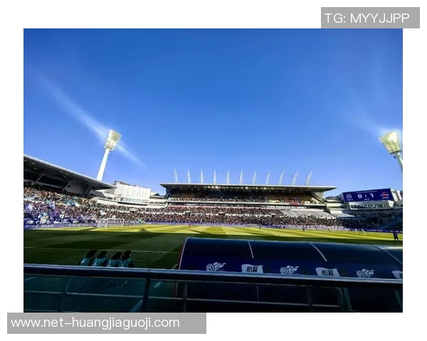 足球运动的魅力与历史发展全景解析与技巧分享